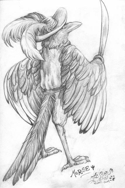 Morse (kenket)