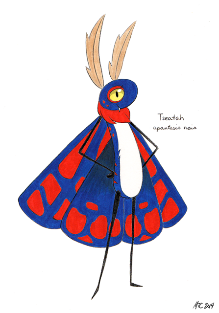 Tseatah moth (nyomi)