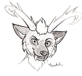 Tseatah head sketch (nyomi)