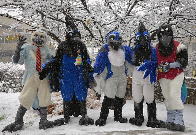 midwest-furfest-2016-539 31467802275 o