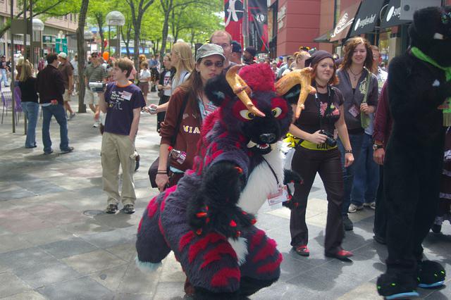 rmfc2008 damonhusky 139