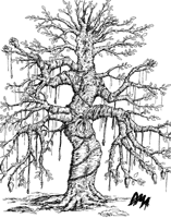 Frysco tree TF 5 (dma)
