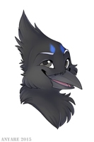 kootenay headshot (anyare)