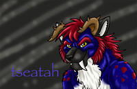 Tseatah badge (likeshine)