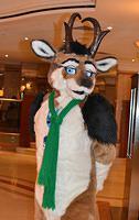 cfz2014-daIrishGoat-tatonga 2