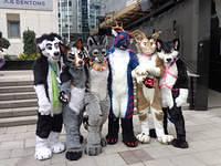 tseatah3 londonfurs201604 skunkMantra 3